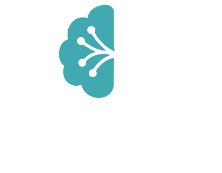 Budhimon Business Solutions FZE
